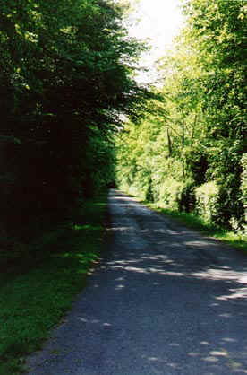 Road leading north to Ny, Belgium