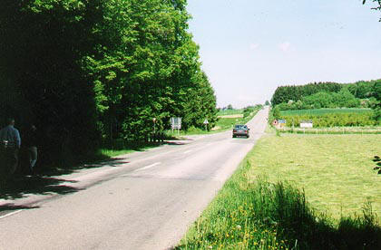 Soy - Hotton road.